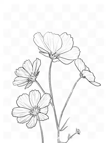 花,线条画设计素材免费下载_花,线条画设计图片-千图网平面设计