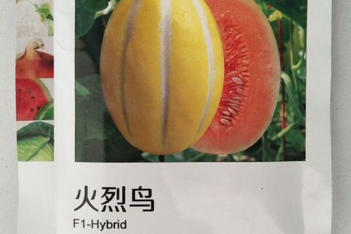 0/袋 红瓤八里香甜瓜种子 火烈鸟甜瓜黄皮红瓤果肉酥脆 糖度高特别甜
