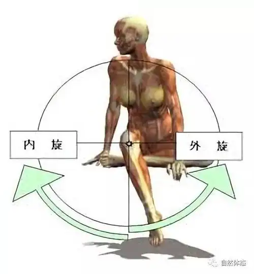 屈曲 内旋 右图的翘法,膝盖是向外,相当于髋关节是 屈曲 外旋