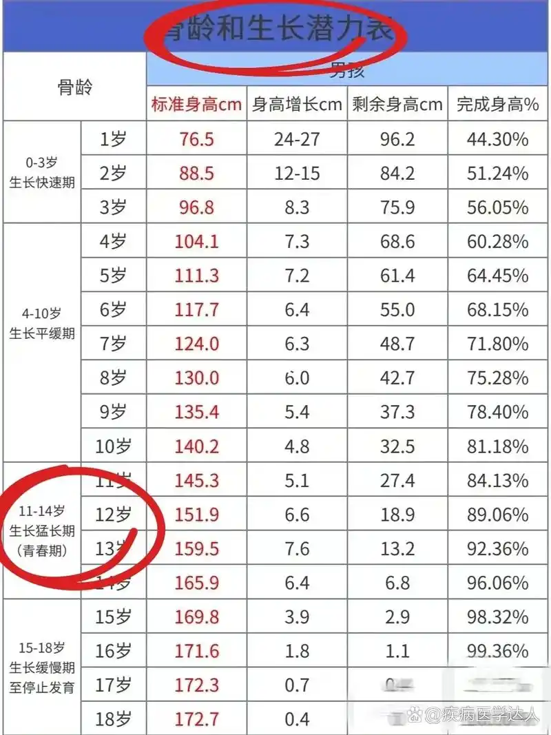 男孩的发育顺序7515你家孩子到哪个阶段了?