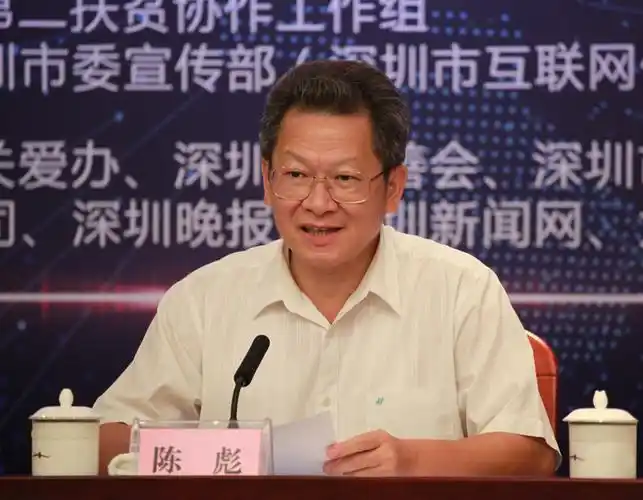 嘉宾深圳市人民政府副市长陈彪