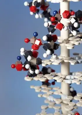 分子结构模型图片