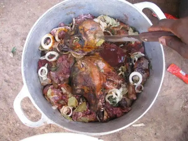 家曾调查了788只于1999至2000年间从热带雨林中被猎捕的野生猴子和猿