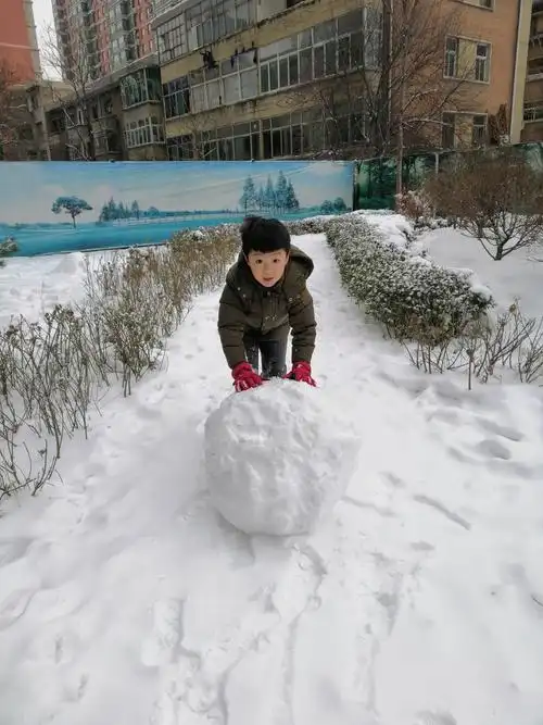 去年冬天滚雪球