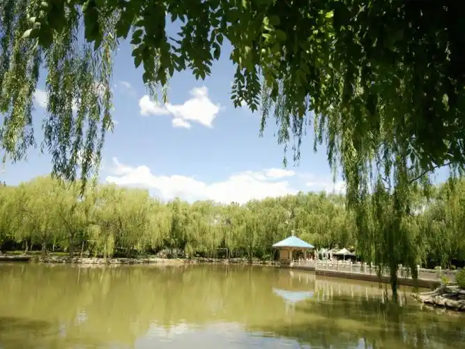 宁夏 青铜峡 青秀园