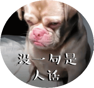 说人话的段子和搞笑动图表情包(16图)