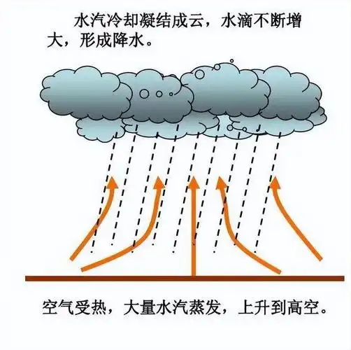 气压带风带的韵律操