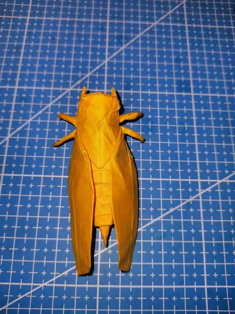 折纸 #手工折纸 #阿咕纸术【一张纸的艺术】金蝉*知了 - 抖音