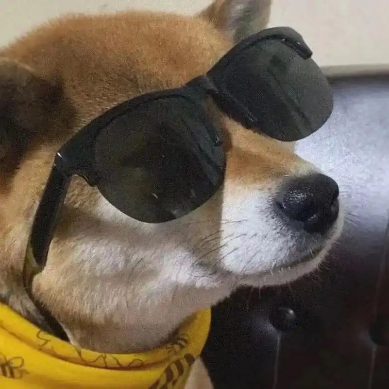 这样的狗狗头像 也太可爱了吧#送你一个头像 #优质头像 #优 - 抖音