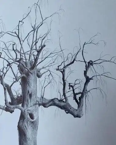 树怎么画才好看素描树怎么画才好看素描教程