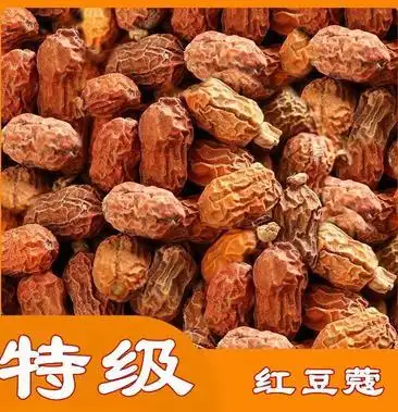 [红豆蔻批发]红蔻红豆蔻红扣红寇5红豆寇良姜子红寇米川菜调料卤料