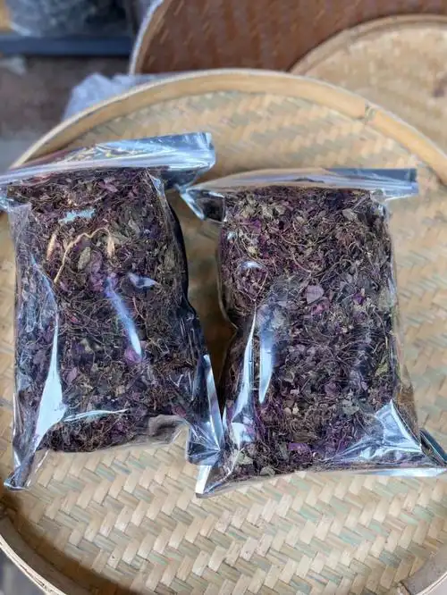 又名风柜斗草,风鼓草,风谷草;可以解酒,具有保肝,护肝的良好功效