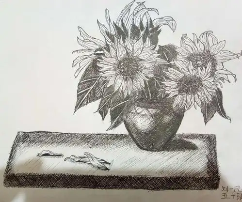 焦东路小学:针管笔手绘 画一幅暖暖的向日葵迎接美好的每一天!