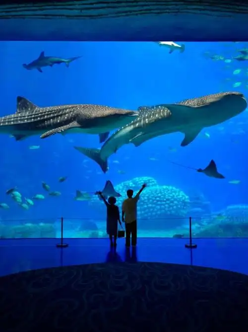 我的旅行日记##珠海旅游