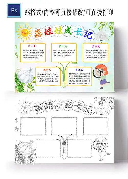 成长日记小报手抄报卡通手抄报豆芽植物生长浅绿色卡通大蒜观察日记