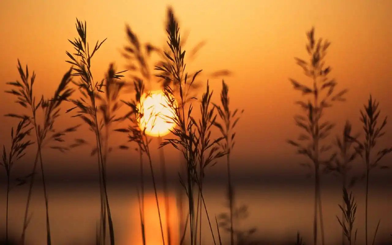 夕阳晚景美丽的太阳桌面壁纸