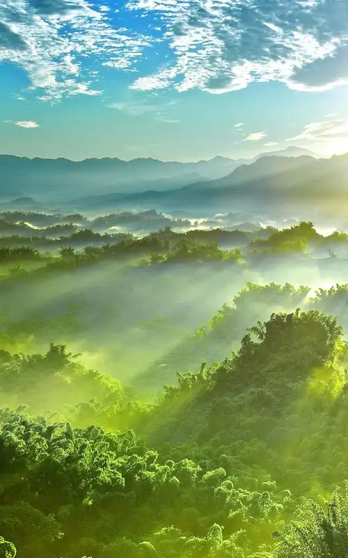 光芒四射的黎明,风景-手机壁纸