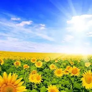 用户1176502631154头像