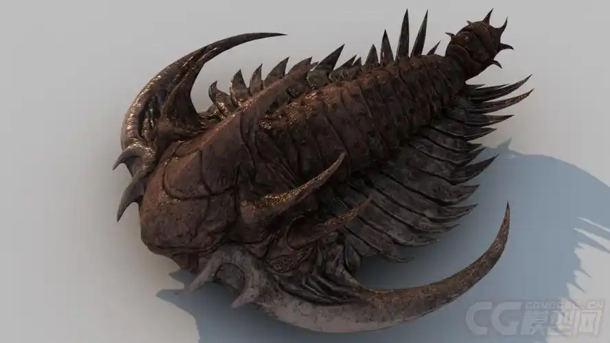 三叶虫(有绑定动画)