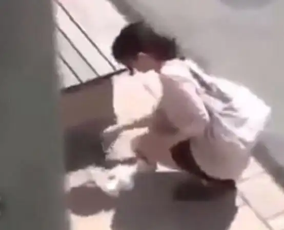 少妇长椅上脱裤子当众大便网友太恶心太扯