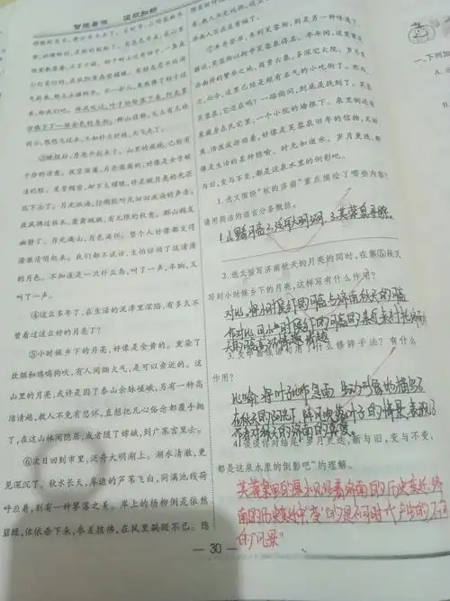 刘佳轩语文作业