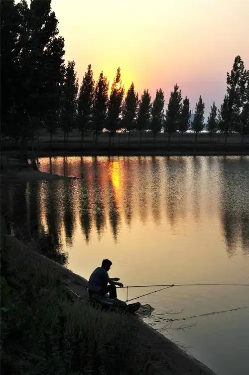 799_1204竖版 竖屏