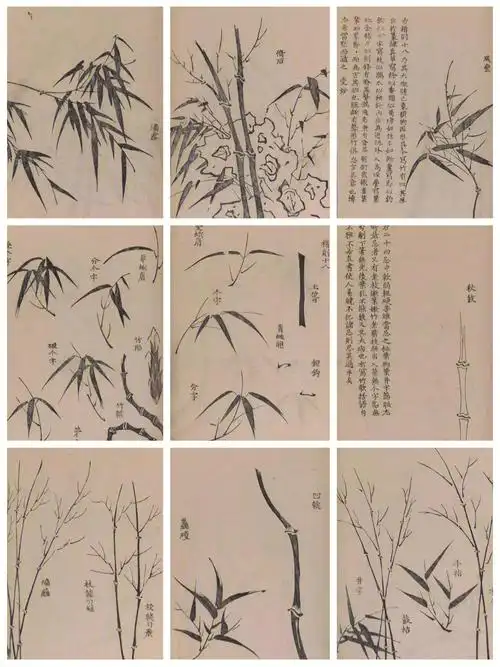 传统国画学习素材资料分享竹的水墨画法1