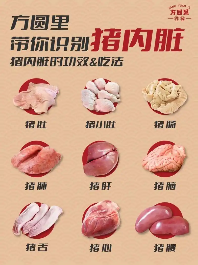 方圆里肉铺第三课丨猪内脏的功效与吃法 hello everyone,方圆里小课堂