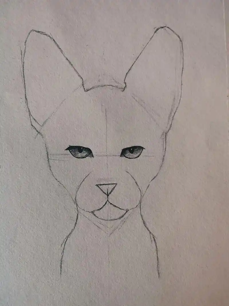 比鲁斯是狗还是猫#比鲁斯大人 #猫 #画画 #黑白画  - 抖音