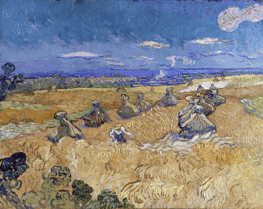 《麦田里的收割者》1889年5月,由于病情发作,梵高住进了莫索尔的