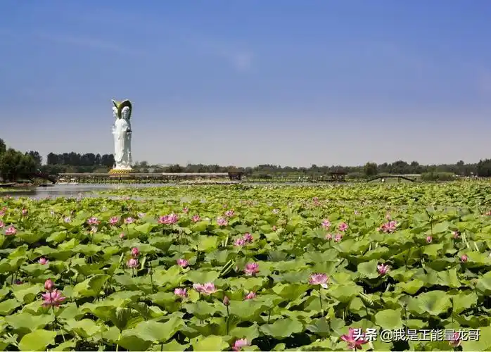 保定白洋淀(保定白洋淀景区开放了吗)-骁龙网