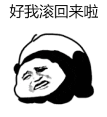 猫猫亲亲表情包 - 表情图