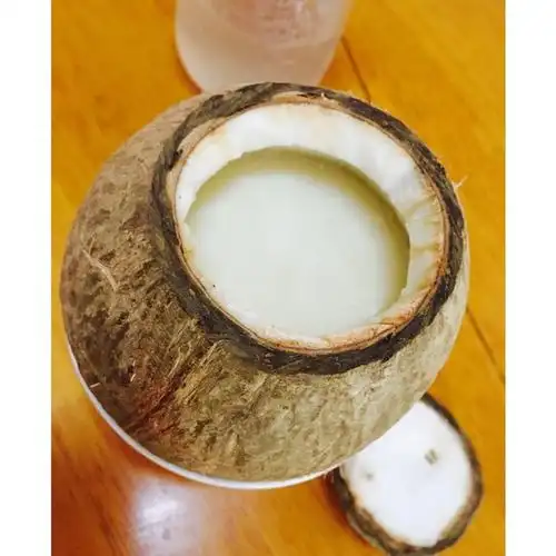 甜茶做的椰子炖奶