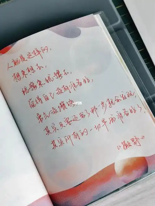 手写:《撒野》有太多好句值得记录