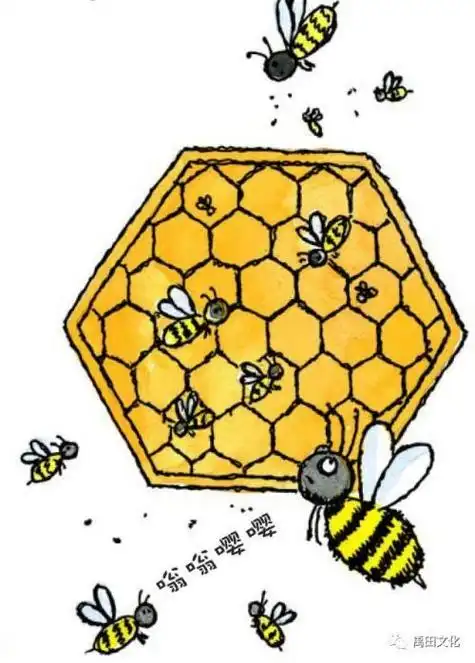 蜂后和蜜蜂在蜂巢里的简笔画