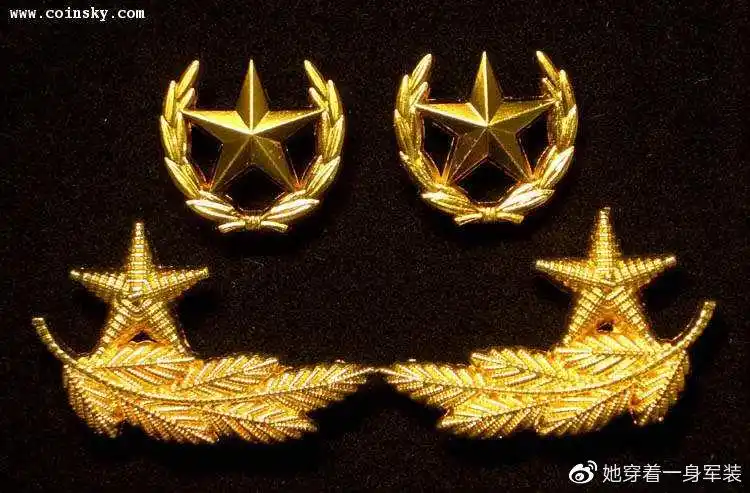 五角星领花(上橄榄枝,下松枝叶)