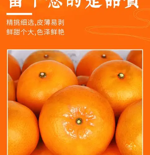寻味君 广西武鸣沃柑 新鲜水果柑橘子桔子 严选3斤 精美礼盒装【净重