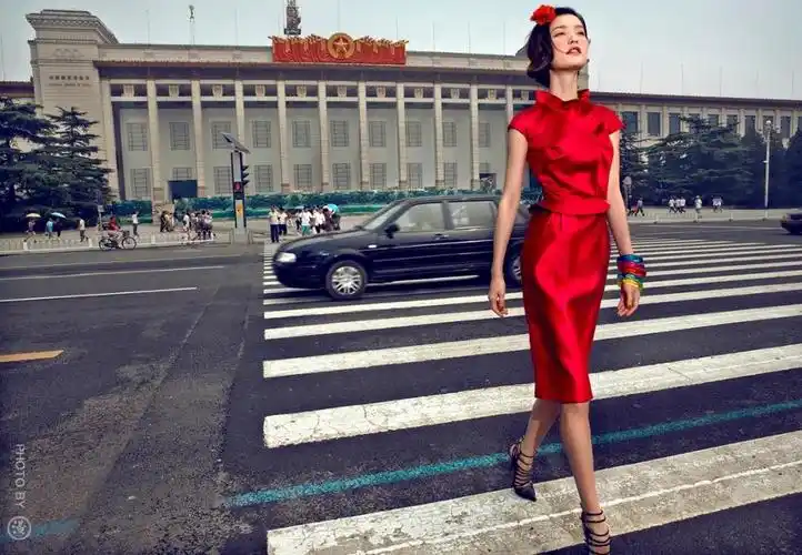 祖国万岁v60系列3,杜鹃,2009 陈漫