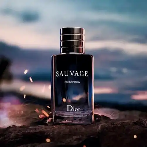dior 旷野sauvage男士淡香水
