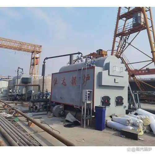 鸡场煮饲料生物质柴蒸汽锅炉参数