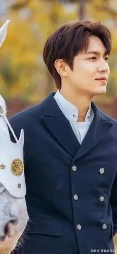 韩剧:李敏镐《the king 永远的君主》