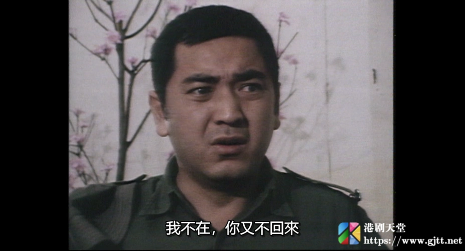 atv1980人在江湖陈观泰江汉林国雄粤语外挂中字mytvsuper源码1080p80