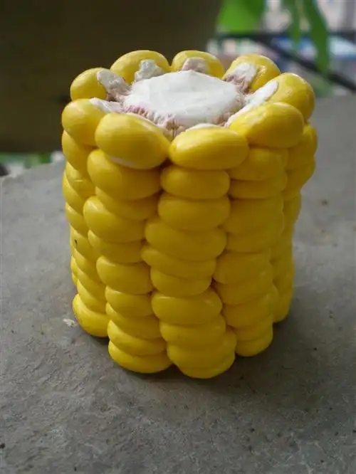 利用软陶通过手工精心创作的玉米