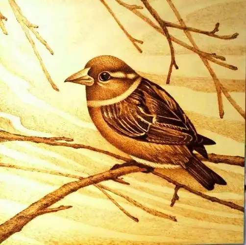 《木与火的艺术》白智全烙画作品集