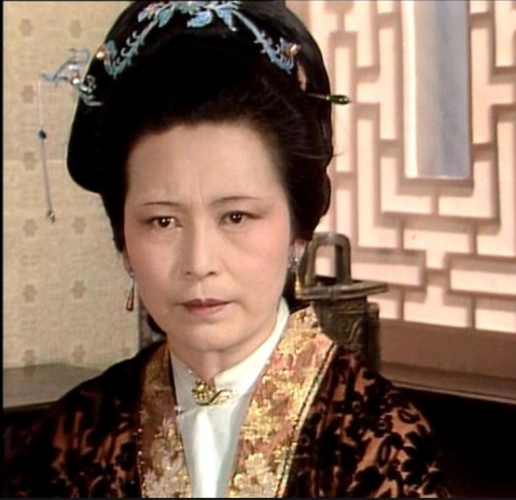 那个时代赋予"王夫人"的特性