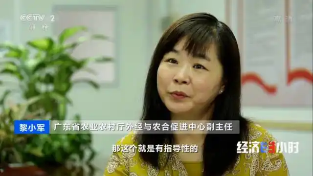 央视关注!广东 "12221"市场体系助茂名荔枝龙眼卖向全球