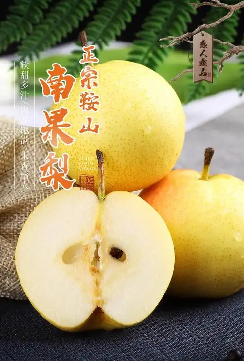 辽宁鞍山南国梨 东北特产 南果梨子 香水梨 新鲜水果 精选中大果5斤