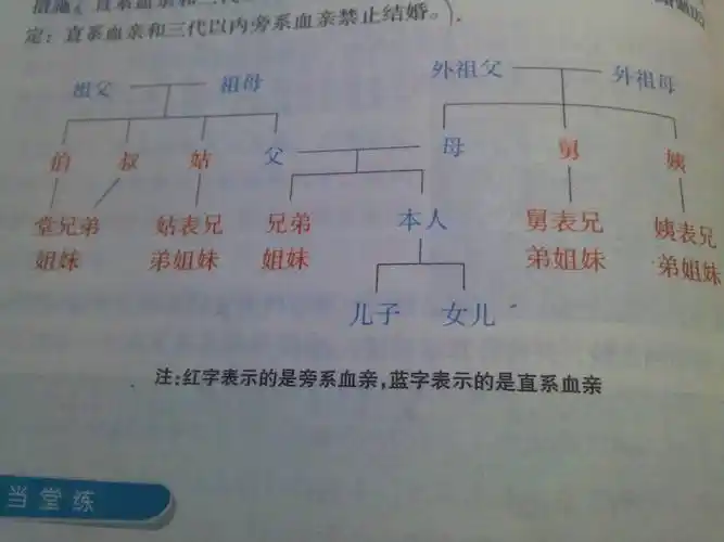 我的外婆和她的奶奶是亲姐妹,我们属于三代以内旁系血亲关系吗?
