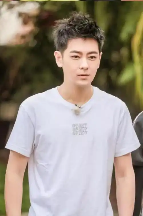 太突然了林志颖不老魅力消失素颜出镜像老大叔一直被骗了