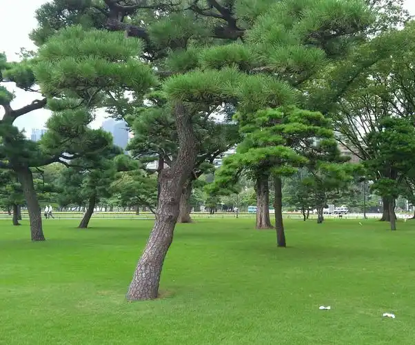 东瀛游记·从大阪到东京